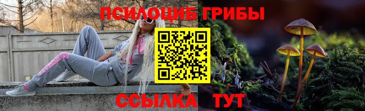 купить наркотики цена  Псилоцибиновые грибы Magic Shrooms  Вход с VPN  Кольчугино 