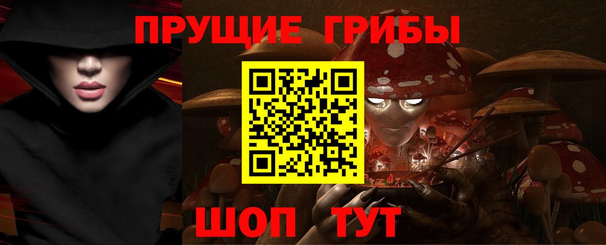Галлюциногенные грибы Cubensis Кольчугино